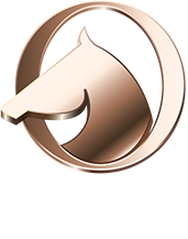 松伟SOVER